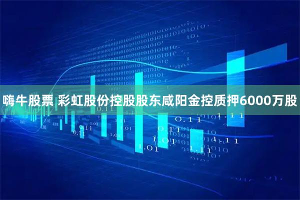 嗨牛股票 彩虹股份控股股东咸阳金控质押6000万股