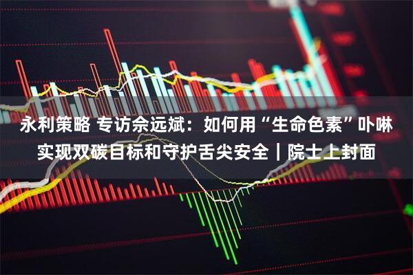 永利策略 专访佘远斌：如何用“生命色素”卟啉实现双碳目标和守护舌尖安全｜院士上封面