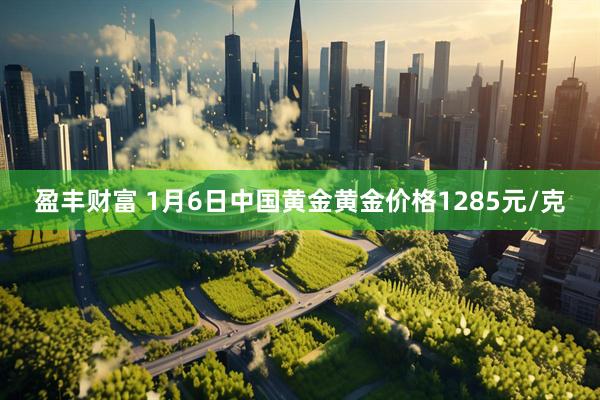 盈丰财富 1月6日中国黄金黄金价格1285元/克